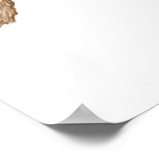 Vintag Chameleon Lizard Poster (Ecke)