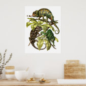 Vintag Chameleon Lizard Poster (Küche)