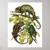 Vintag Chameleon Lizard Poster (Vorne)