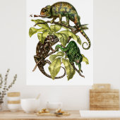 Vintag Chameleon Lizard Poster (Küche)