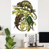 Vintag Chameleon Lizard Poster (Heimbüro)