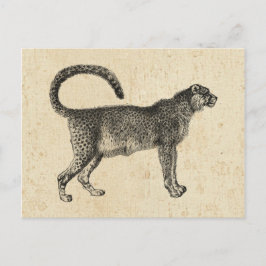 Vintag Cheetah Postkarte