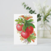 Vintag Cherries-Abbildung Postkarte (Stehend Vorderseite)