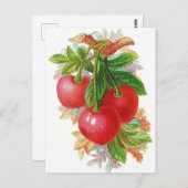 Vintag Cherries-Abbildung Postkarte (Vorne/Hinten)