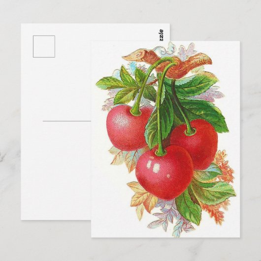Vintag Cherries-Abbildung Postkarte (Vorne/Hinten)
