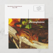 Vintag Chipmunk Postkarte (Vorne/Hinten)