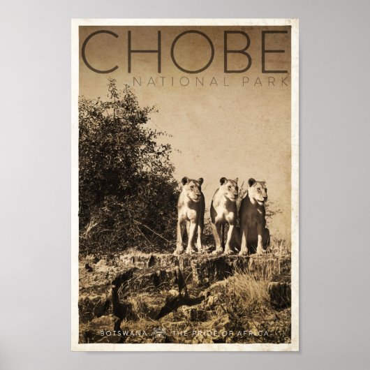Vintag Chobe National Park Travel Poster (Vorne)
