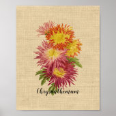 Vintag Chrysanthemum Botanical Poster (Vorne)
