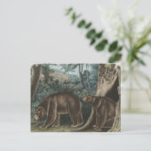 Vintag Cinnamon Bear Audubon Postkarte (Stehend Vorderseite)