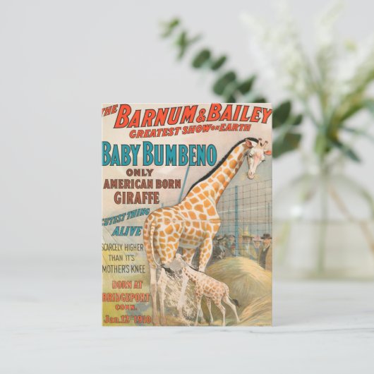 Vintag: Circus Barnum & Bailey - Postkarte (Stehend Vorderseite)