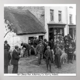 Vintag Co. Kerry Irland, Killarney Sheep Fair Poster