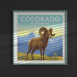 Vintag Colorado Poster