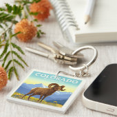 Vintag Colorado Schlüsselanhänger (Vorderseite rechts)