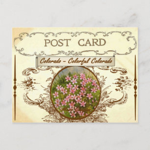 Vintag Colorado Staat Blume Postkarte