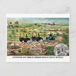Vintag Columbus Buggy Company Australian Ostrich Postkarte