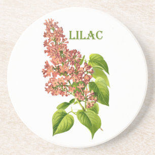 Vintag Coral Lilac Spring Garden Blume Getränkeuntersetzer