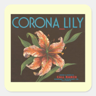 Vintag Corona Lily Sticker