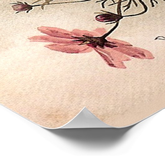 Vintag Cosmos Bouquet Poster (Ecke)