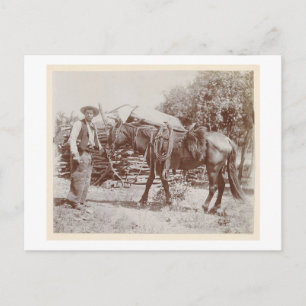 Vintag Cowboy 1900 Postkarte