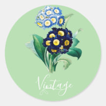 Vintag Cowslip Primrose botanisch