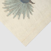 Vintag Crowned Blue Bird Ephemera Decoupage Seidenpapier (Detail)