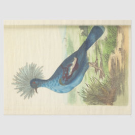 Vintag Crowned Blue Bird Ephemera Decoupage Seidenpapier