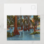 Vintag, Cruise Cyprus Gardens, Florida Postkarte (Vorne/Hinten)