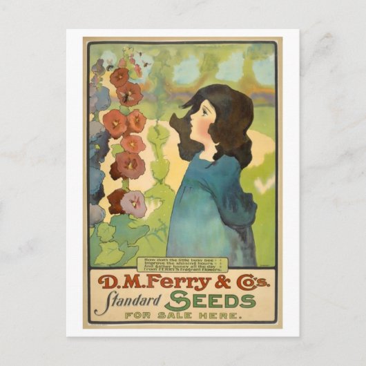Vintag D. M. Ferry & Co. Samenwerbung Postkarte (Vorderseite)
