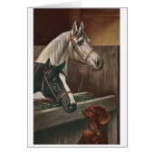 Vintag - Dackel besucht Pferde, (Vorne)