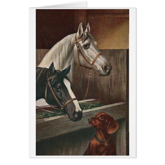 Vintag - Dackel besucht Pferde, (Vorne)