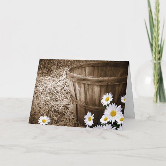 Vintag Daisy Karte (Vorderseite)