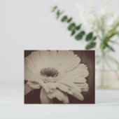 Vintag Daisy Postkarte (Stehend Vorderseite)