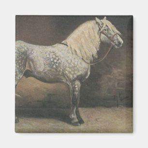 Vintag Dapple Gray Magnet