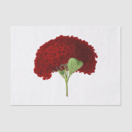 Vintag Deep Red Hydrangea Blume Floral Seidenpapier