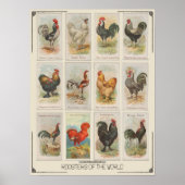 Vintag Design International Roosters Kitchen Poster (Vorne)