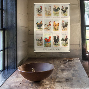 Vintag Design International Roosters Kitchen Poster