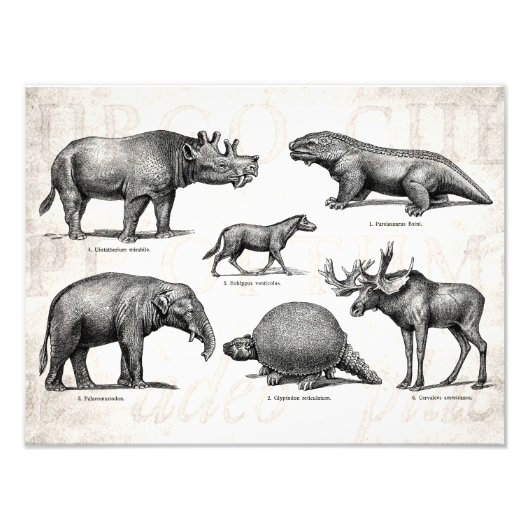 Vintag Dinosaurier Alte Illustration Retro Dinosau Fotodruck (Vorne)