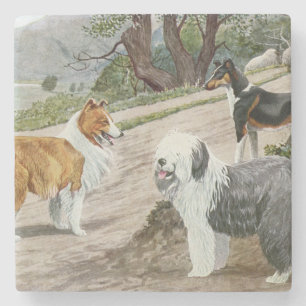 Vintag Dog Trio Steinuntersetzer