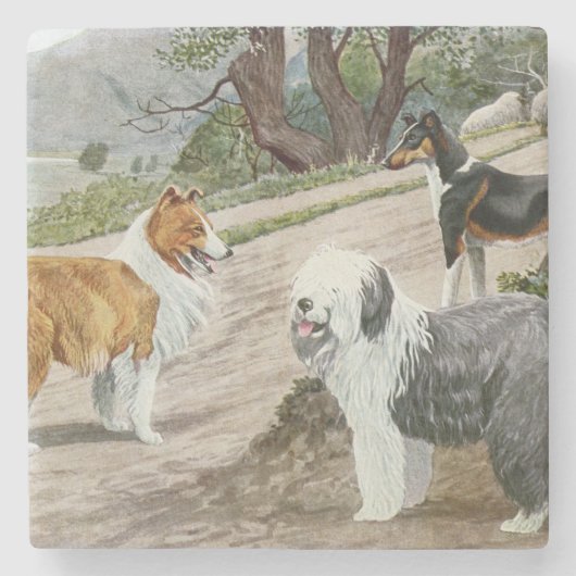 Vintag Dog Trio Steinuntersetzer (Vorderseite)