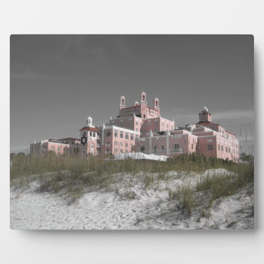 Vintag Don CeSar Fotoplatte (Vorderseite)