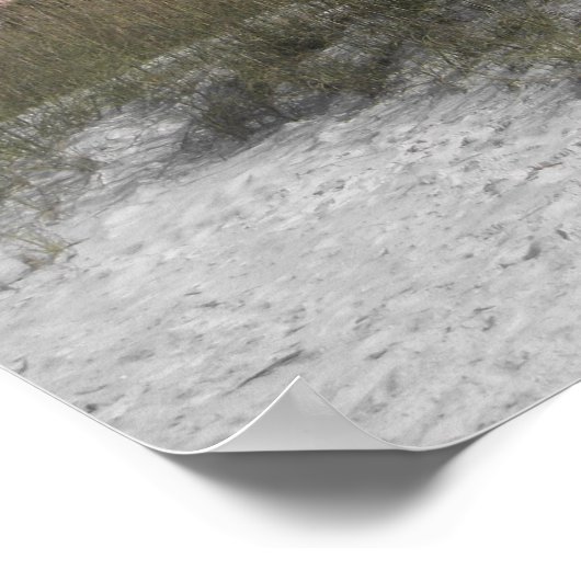 Vintag Don CeSar Poster (Ecke)