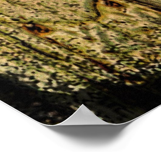 Vintag Door Knob Fotografy Poster (Ecke)