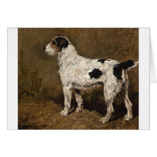 Vintag - Drahtbehaarter Fox-Terrier-Hund,