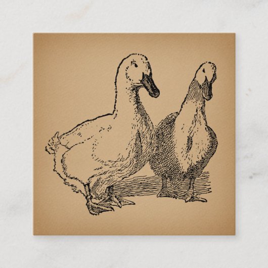 Vintag Duck Art Two Ducks Illustration Begleitkarte (Vorderseite)