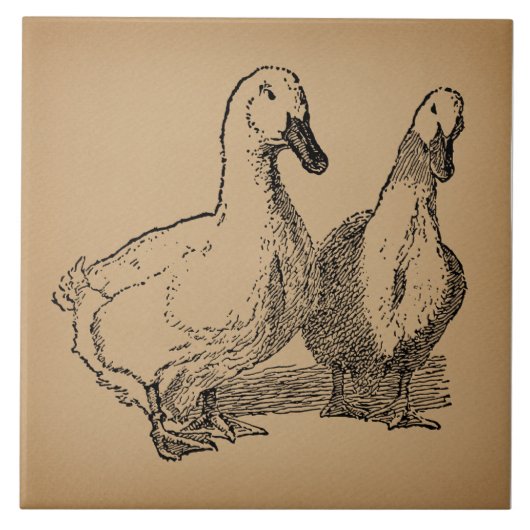 Vintag Duck Art Two Ducks Illustration Fliese (Vorderseite)