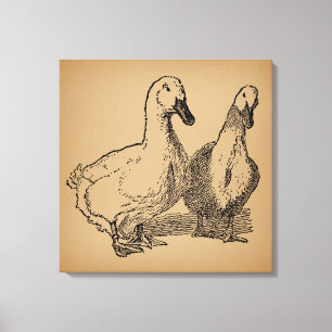 Vintag Duck Art Two Ducks Illustration Leinwanddruck