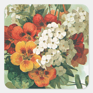 Vintag Eastman's Seed Catalog Cover Art, 1897 Quadratischer Aufkleber