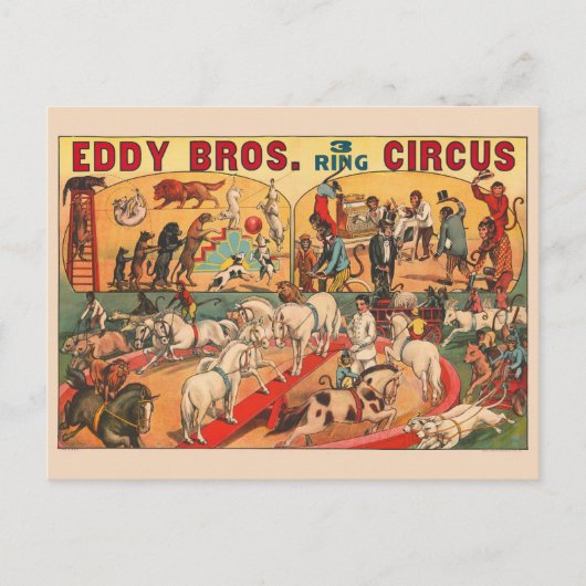 Vintag Eddy Brothers Circus Poster Postkarte (Vorderseite)