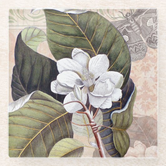Vintag Elegante Südliche Magnolia Glasuntersetzer (Vorderseite)