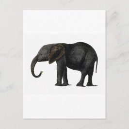 VINTAG ELEPHANT POSTCARD POSTKARTE